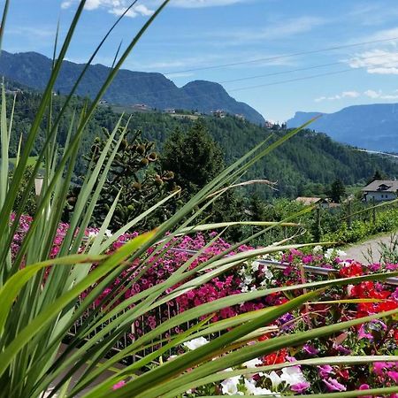 Pension Weinberg Rifiano Esterno foto