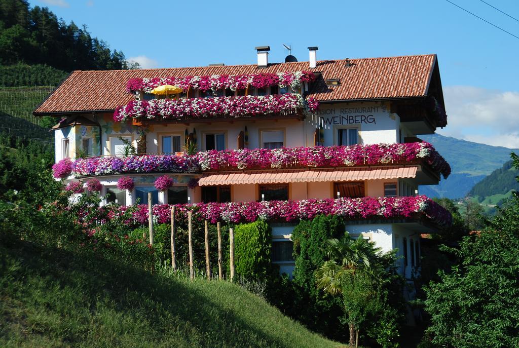 Pension Weinberg Rifiano Esterno foto