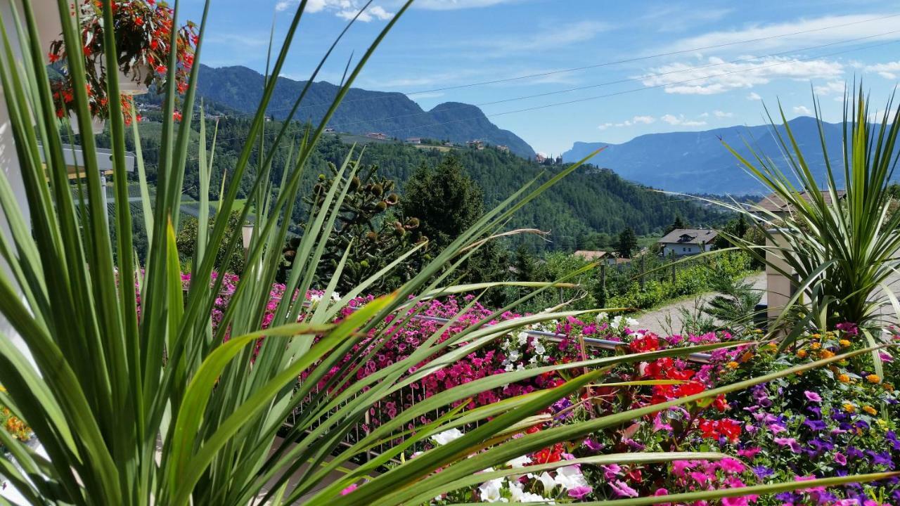 Pension Weinberg Rifiano Esterno foto