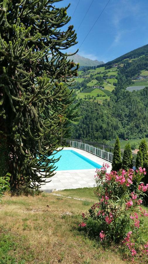 Pension Weinberg Rifiano Esterno foto